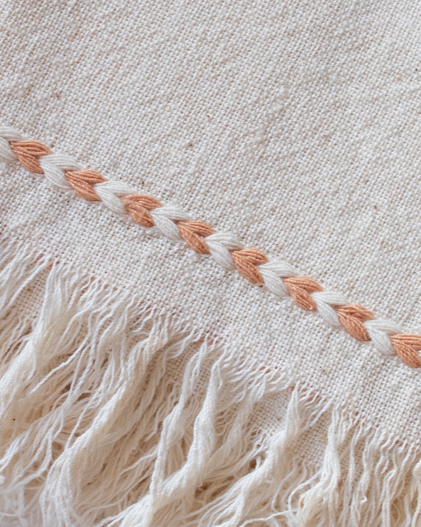 Tan Braid Detail Napkin | Set of 2